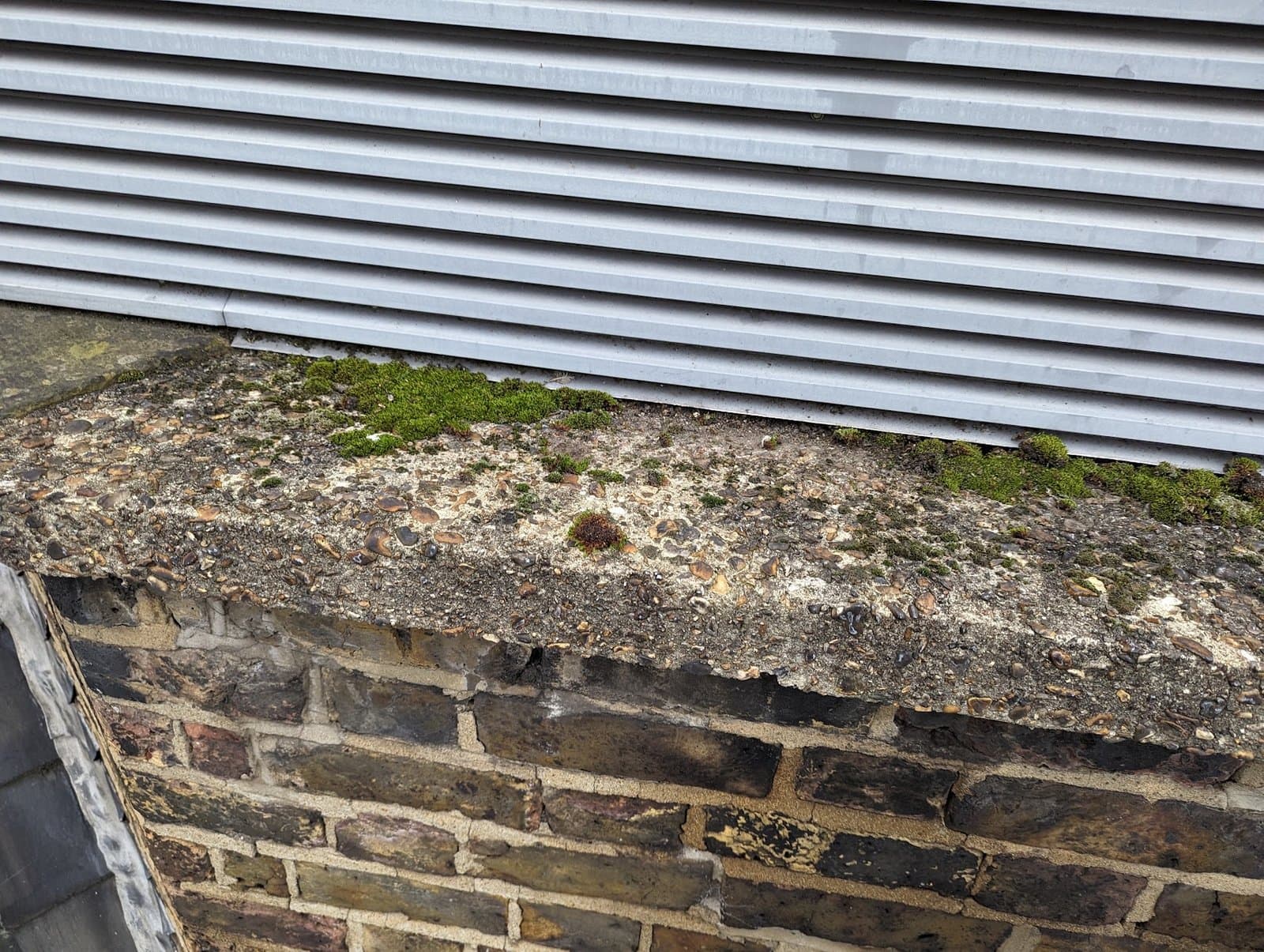 Before: moss-covered coping with eroded and blackened brick joints beneath